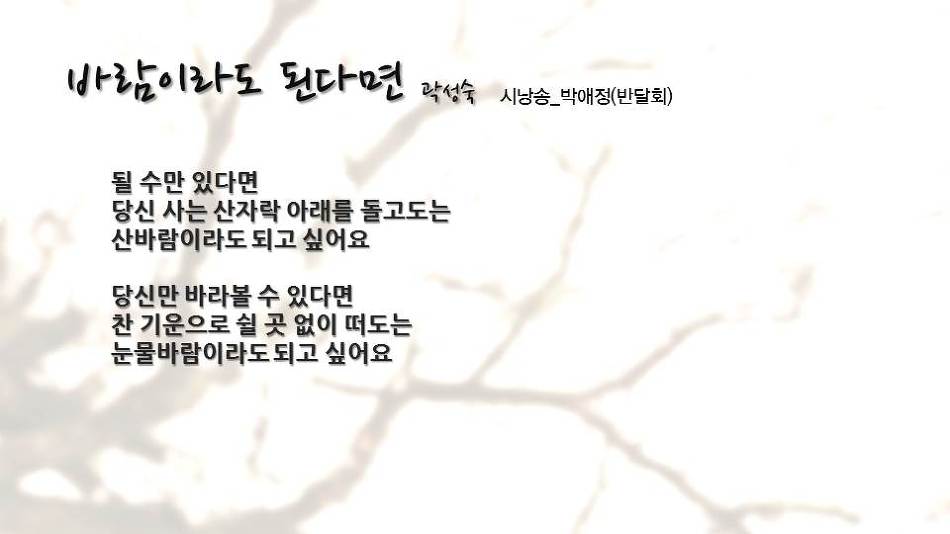 '차꽃, 바람에 머물다' 출판행사 PPT