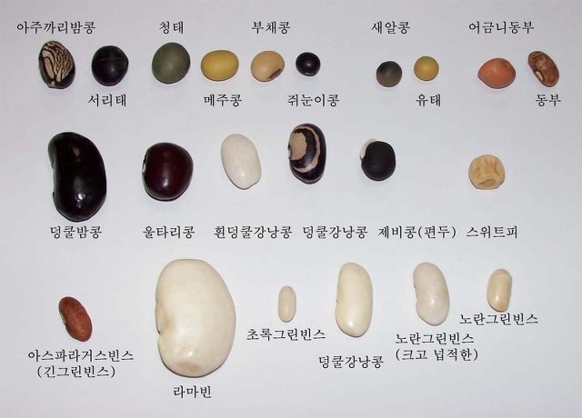 용이청과 이미지