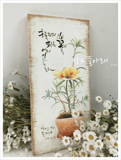 빛깔캘리그라피 이미지