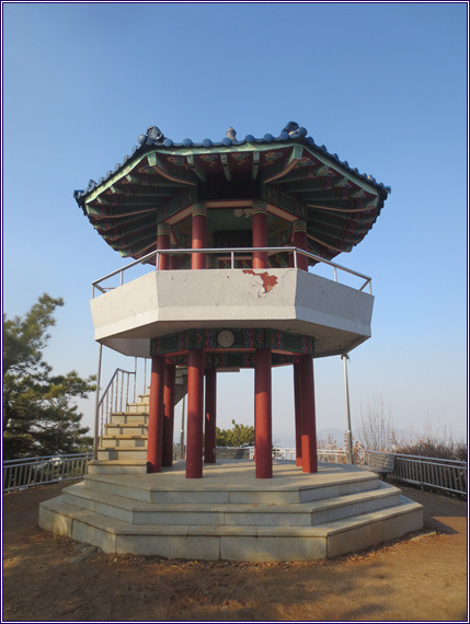 초록숲 이미지