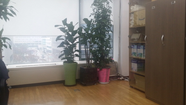 서현역 사무실 풍경