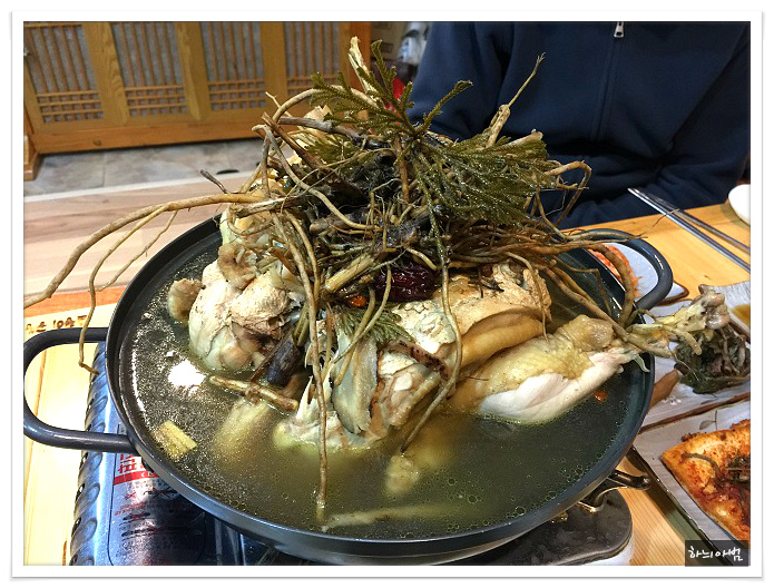 <우아동> 건강 약초백숙..뜰안애 - 전북/전주 지역 추천맛집 뜰안애 후기