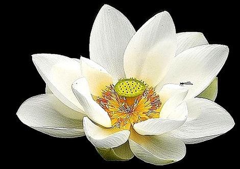 사랑은 그렇게 시작되었습니다 -서 재순/낭송:황 수정