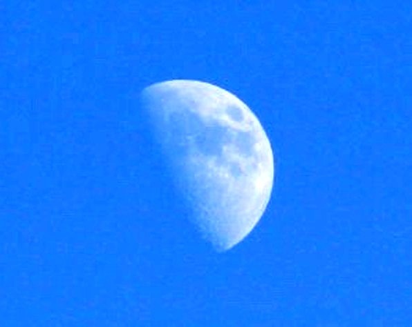 245FD9385650946C2FFCE5