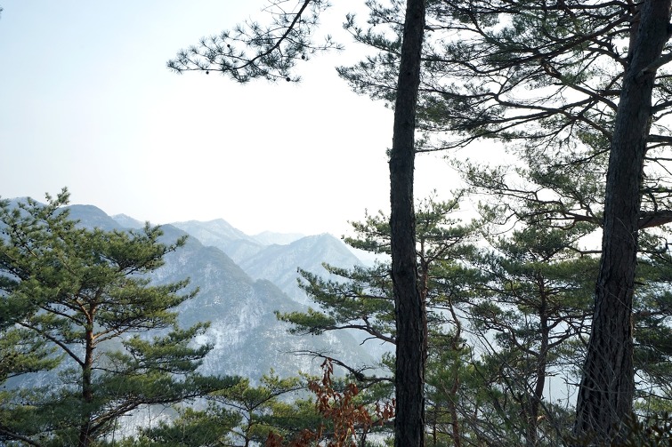 동강 어라연의 맑은 물에 한해 동안 찌든 때를 말끔히 씻어내세요 !