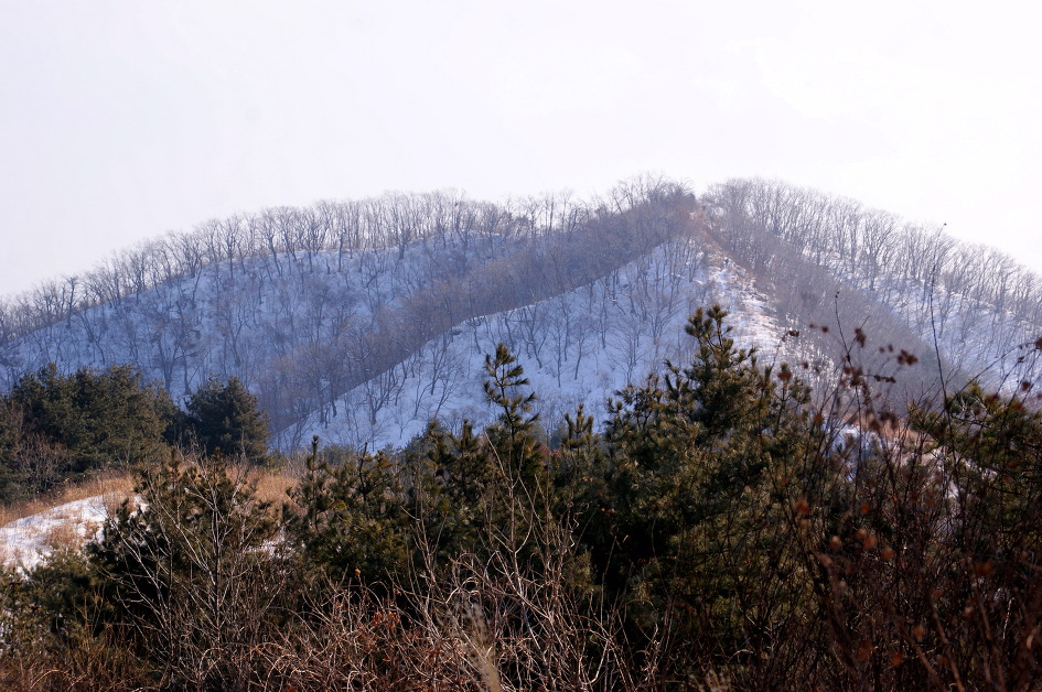 몽덕산 ~ 가덕산 ~ 북배산 겨울 종주산행(15.1.24) 인기 백대명산 제72위