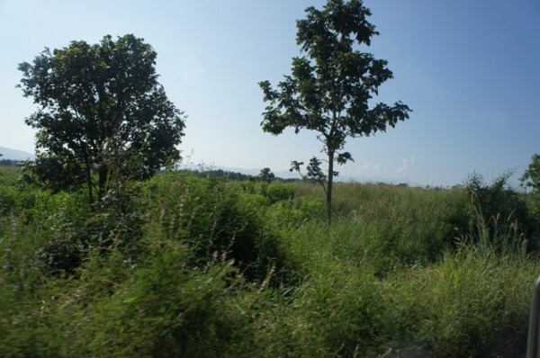 25512A41526FBE5630D2AB