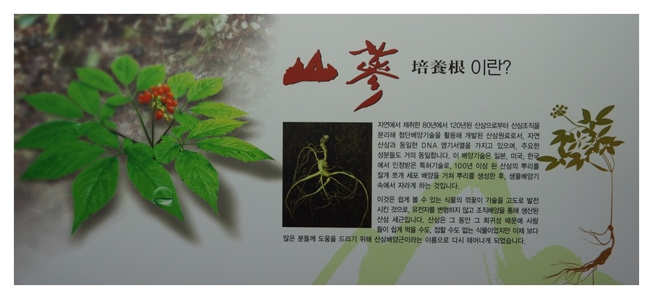 석부작박물관 이미지