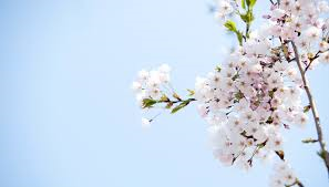 스위시 자료 소스 종합7
