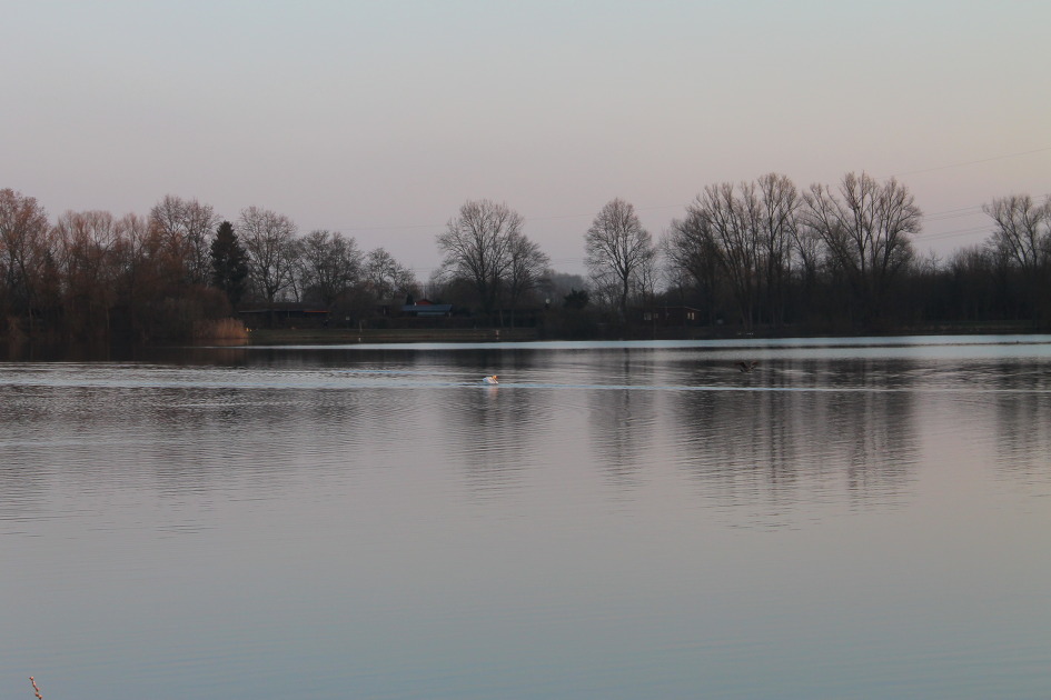 독일-프랑크푸르트 자그마한 호수