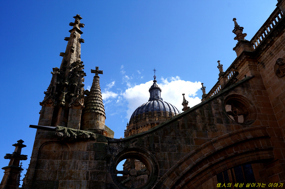 카테드랄 종탑 오르기