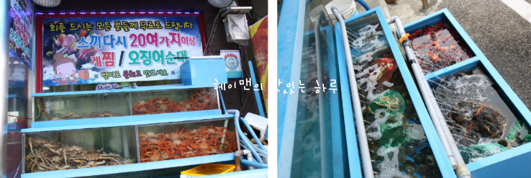 왕건횟집 이미지