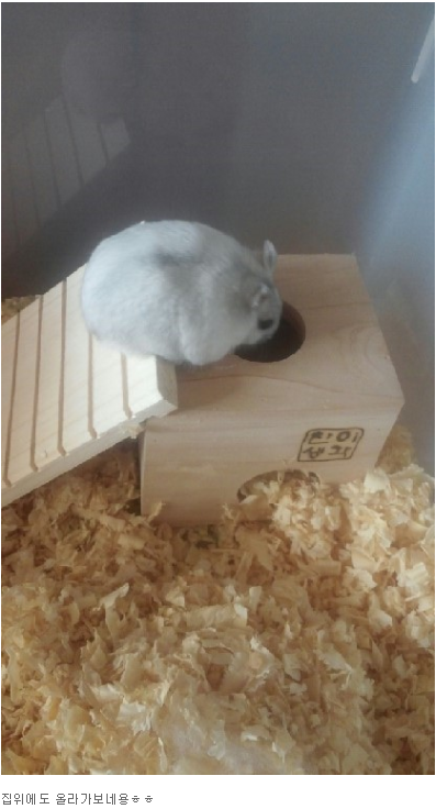 생각공방 이미지