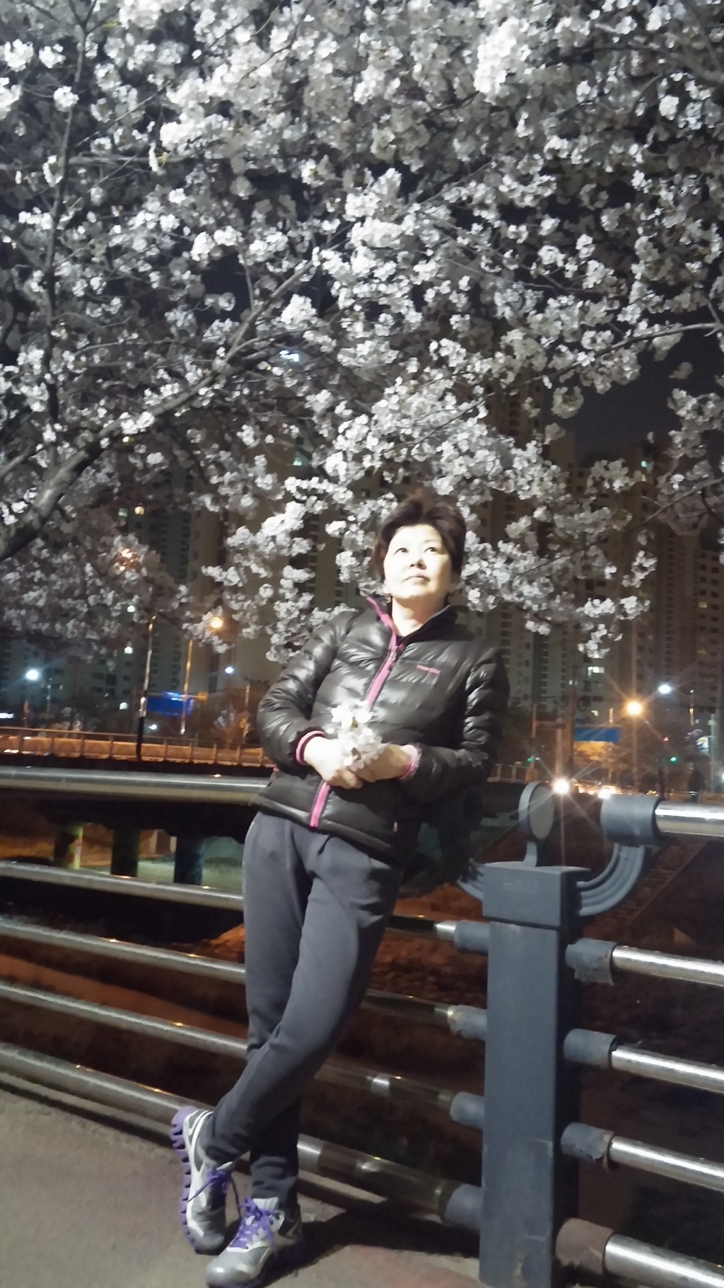 밤 벗꽃놀이....