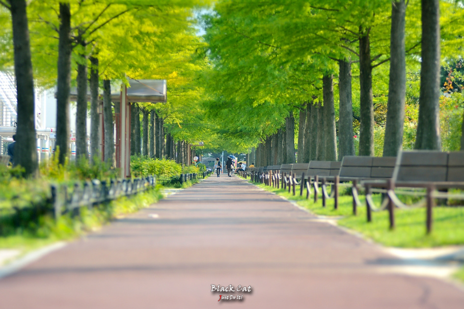 하나를위해(Pattern 110)-대전한밭수목원