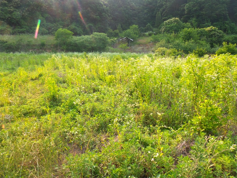 모퉁이커피 이미지