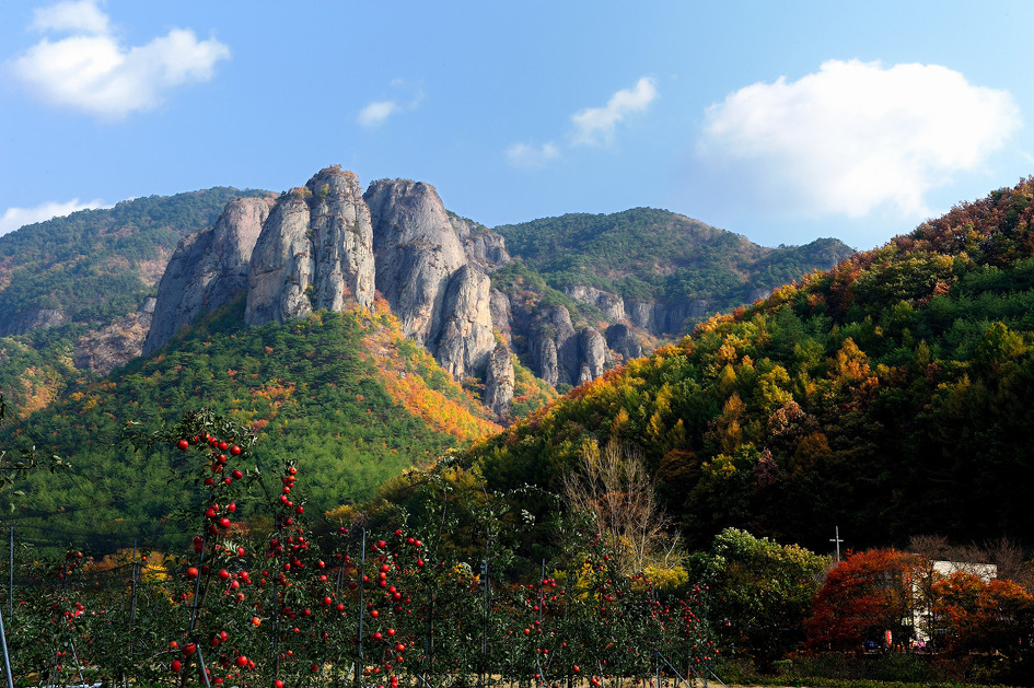 제5회 청송 주산지 관광사진 전국공모전 