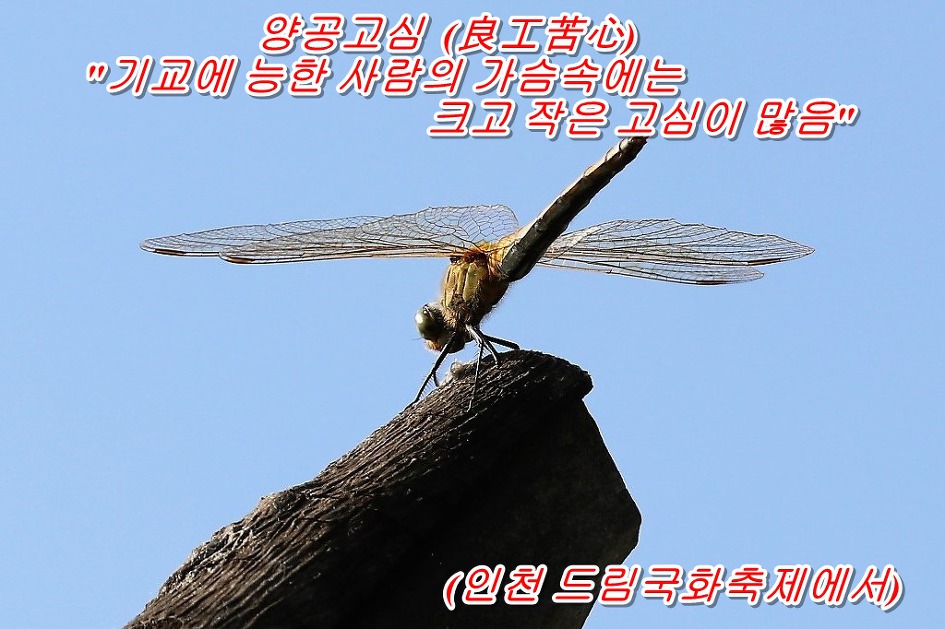 양공고심  (良工苦心)