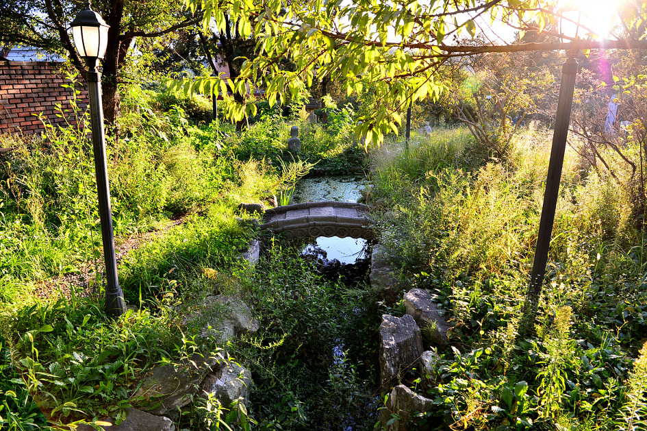 폐허 처럼 변해버린 잡초만 무성한 시크릿 가든 ~