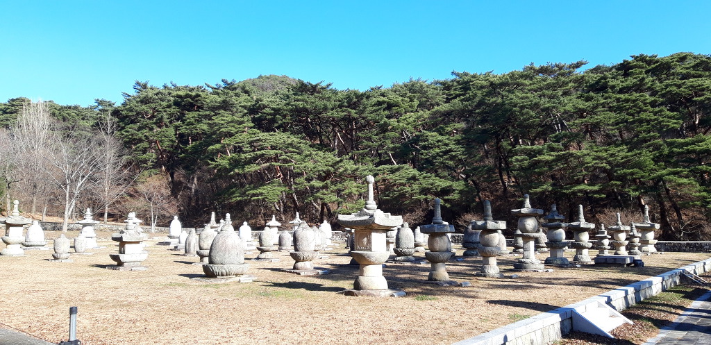솔향 그윽한 통도사