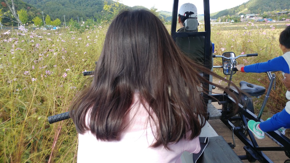 영양 주실마을..날빛 푸르른 날에 조지훈 선생 흔적을 좇아 세번째 방문하다..