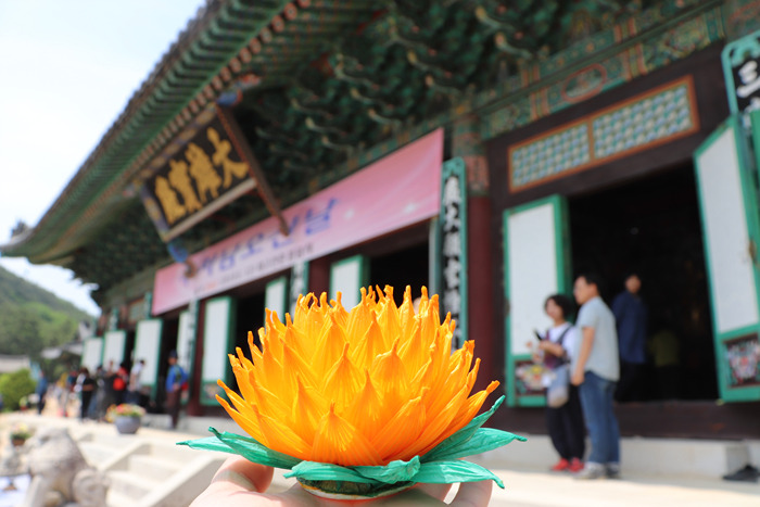 원본이미지(클릭)