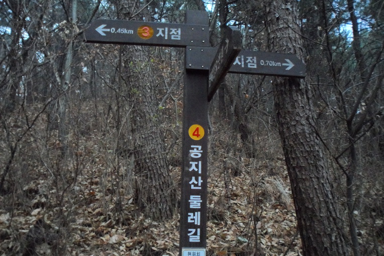 황전1 이미지