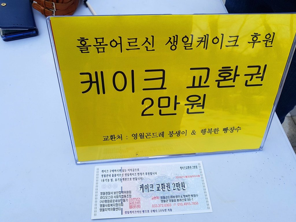 영월 라디오스타박물관 초청 음악회 '금강정 벚꽃향연'