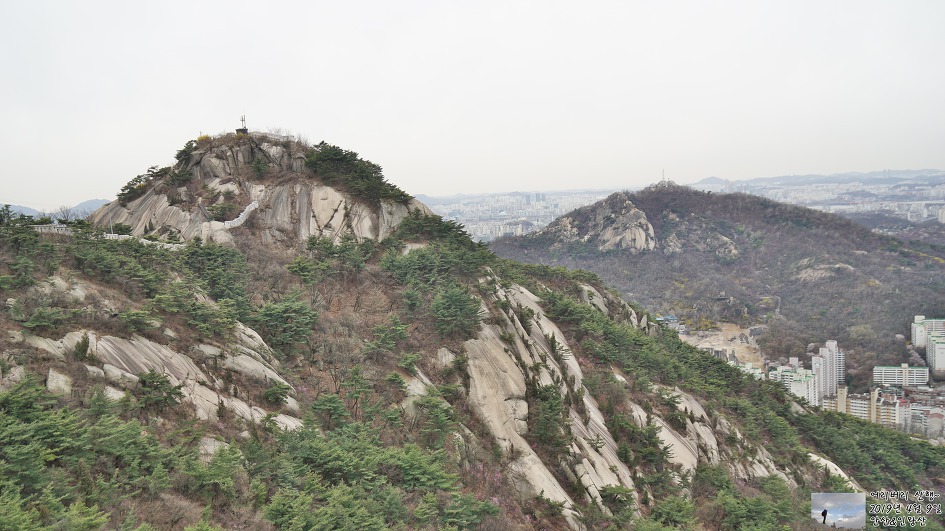 서대문,안산 & 인왕산...개나리,진달래가 흐드러지게 피어있고~