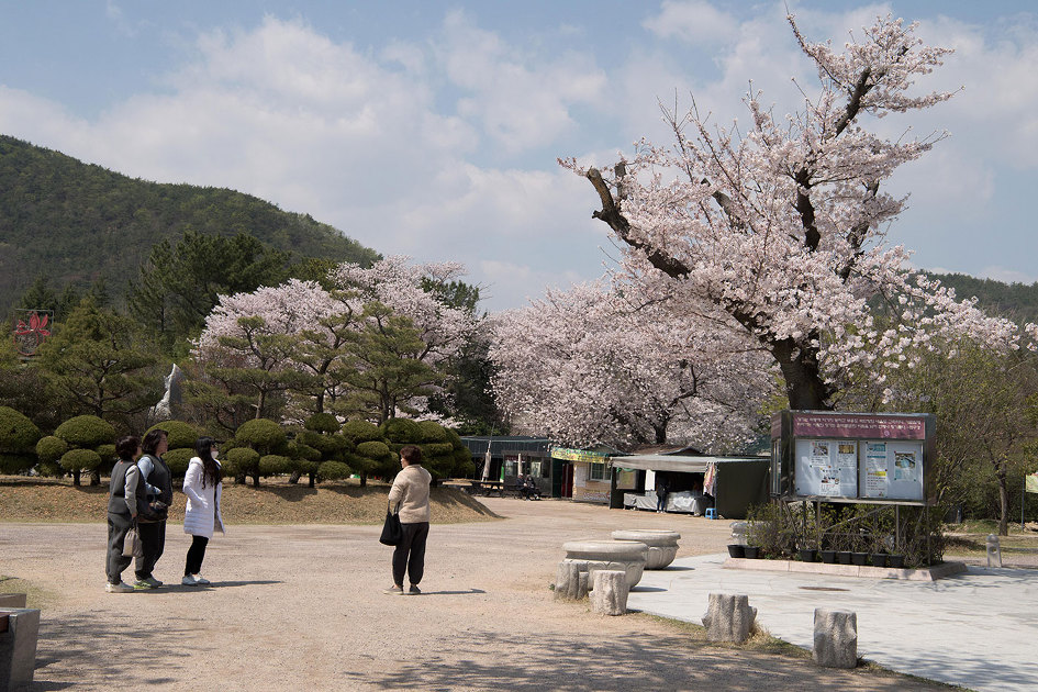 사진찍기좋은곳 홍법사