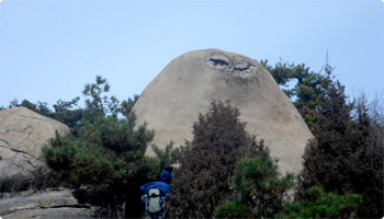 더블클릭을 하시면 이미지를 수정할 수 있습니다