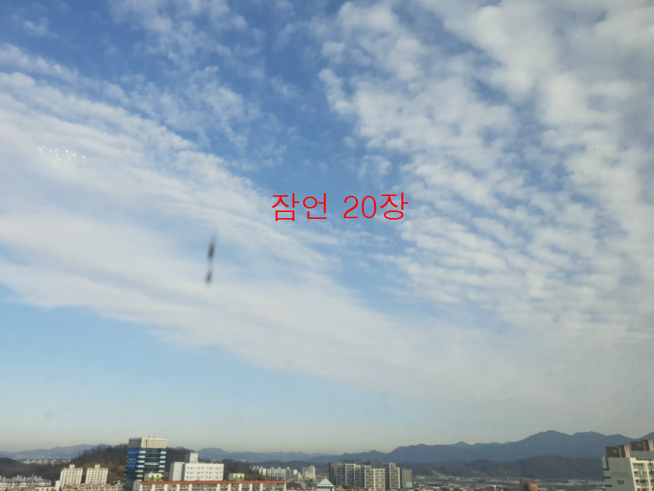 잠언20장, 전주동부교회
