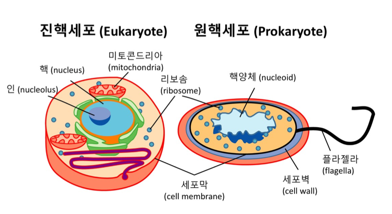biotalk-18