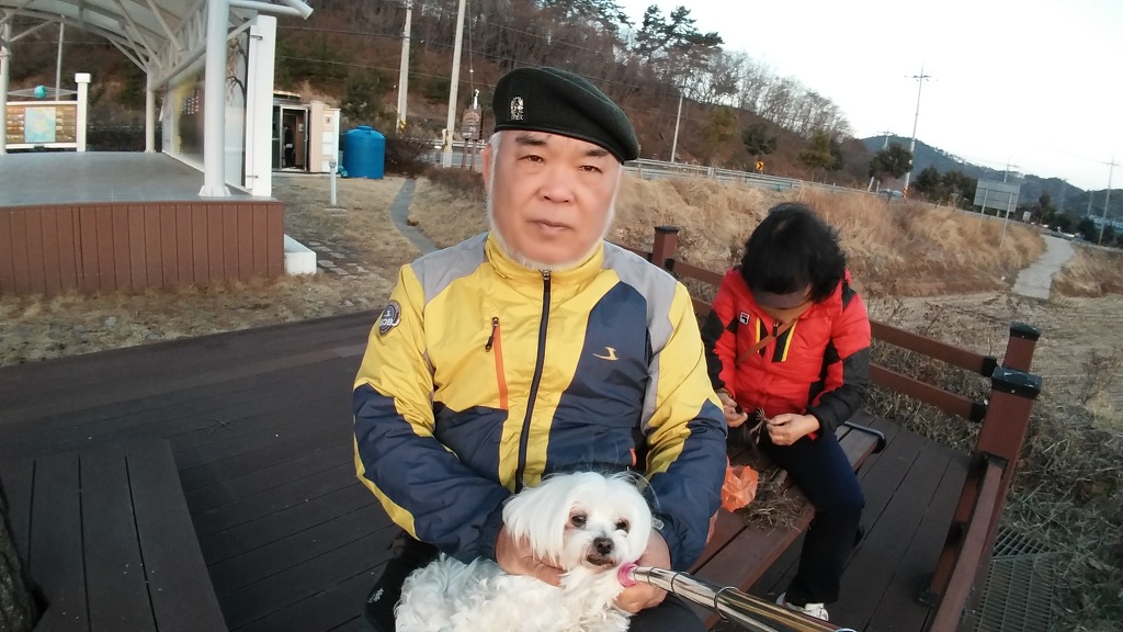 내사진