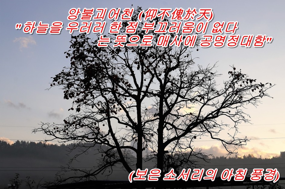 앙불괴어천  (仰不傀於天)