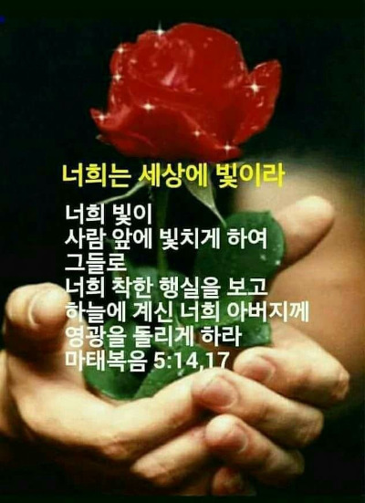 욥기 21장 욥의 대답