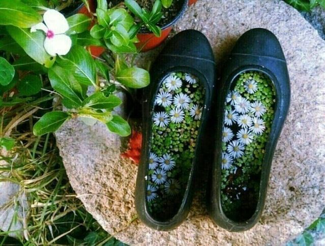 심심하면 맹기러...