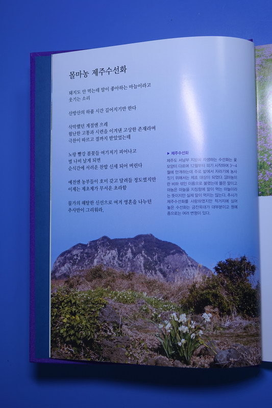 제주도 야생화 시집을 펴내며