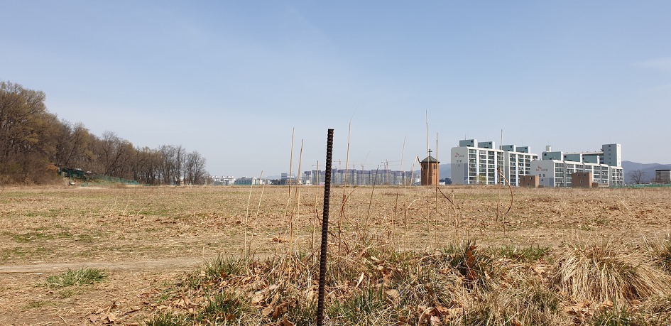 천안 봉서산 구름다리