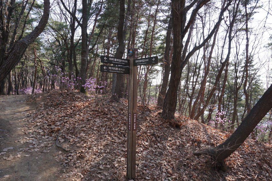 남한산성(이성산~금암산~연주봉~남한산(522m)~벌봉~객산~쥐봉)