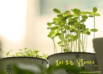 블로그 이미지