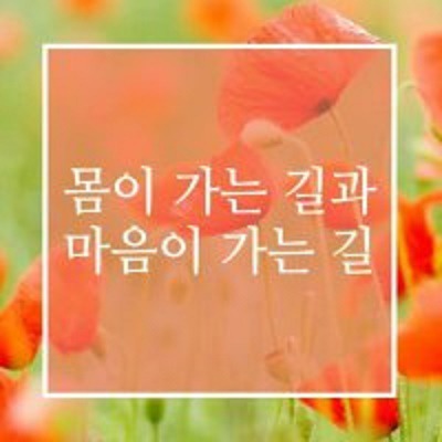 몸이 가는 길 마음이 가는 길 