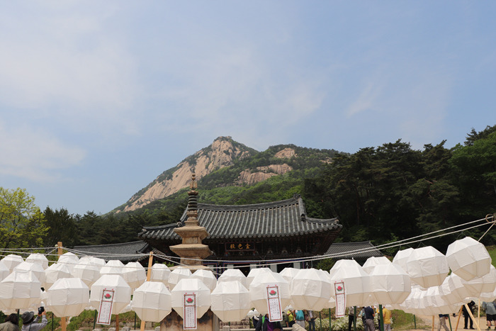 원본이미지(클릭)