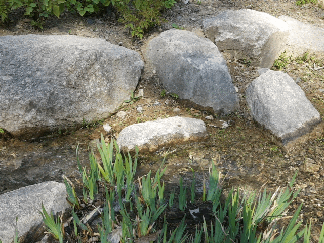 대구수목원 산책