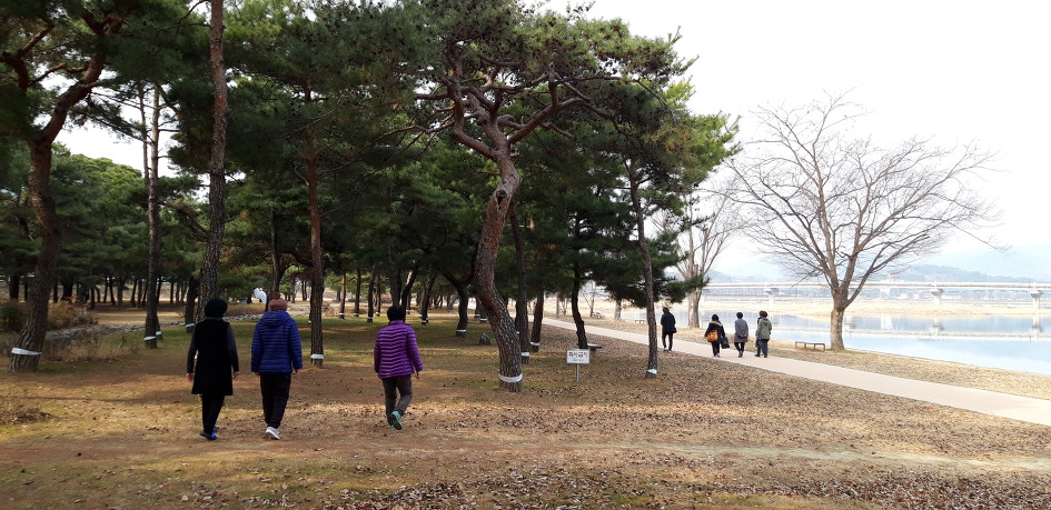 영신숲