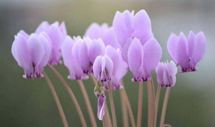 노화를 늦추는 정말 쉬운 방법,한 발 서기