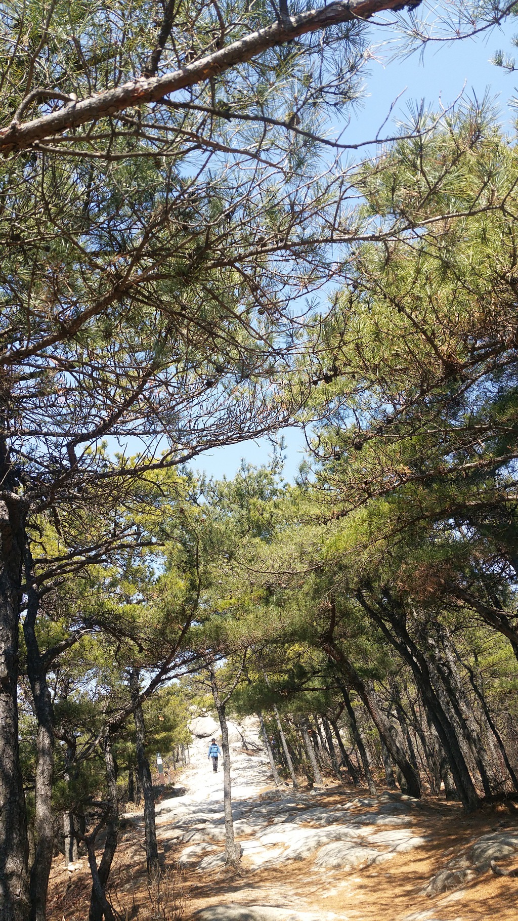 2019. 4. 4(목) 목요산행 호암산성
