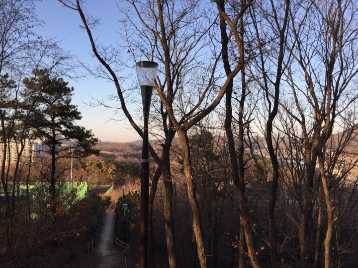 울 강쥐랑 산책중 뒷동산에서