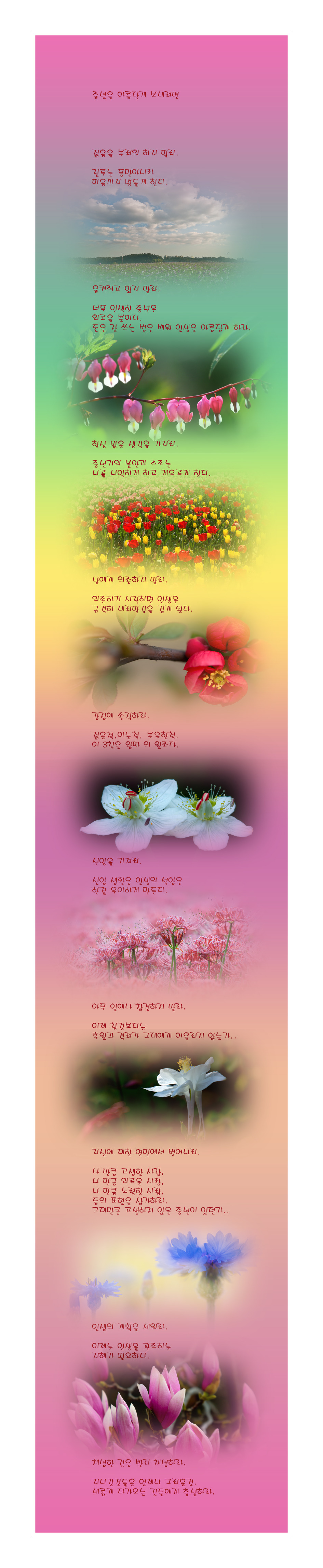 중년을 아름답게 보내려면
