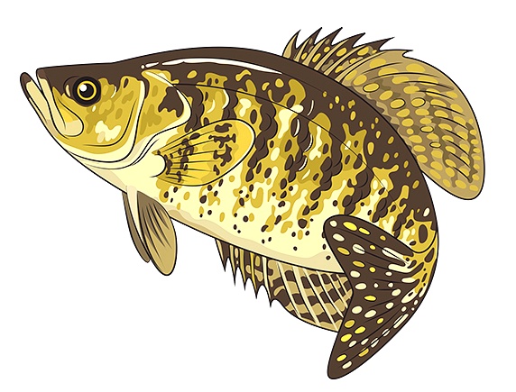 여름성경학교 게임/활동자료 - 낚시놀이 게임